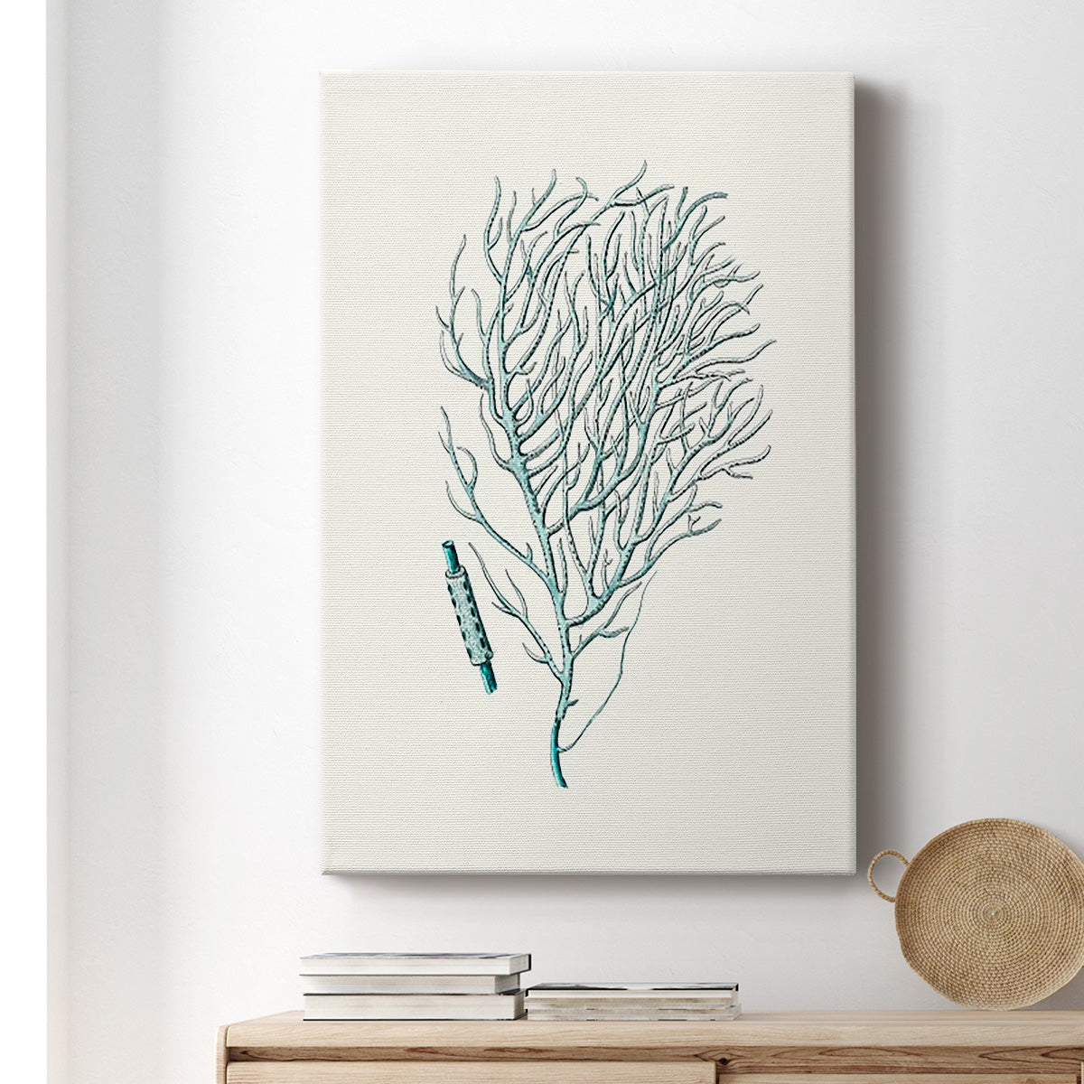 Antique Coastal Coral I - Canvas Art Print