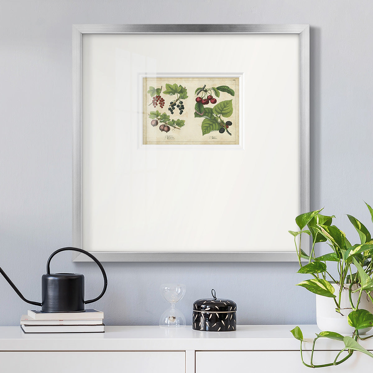 Kitchen Fruits III Premium Framed Print Double Matboard