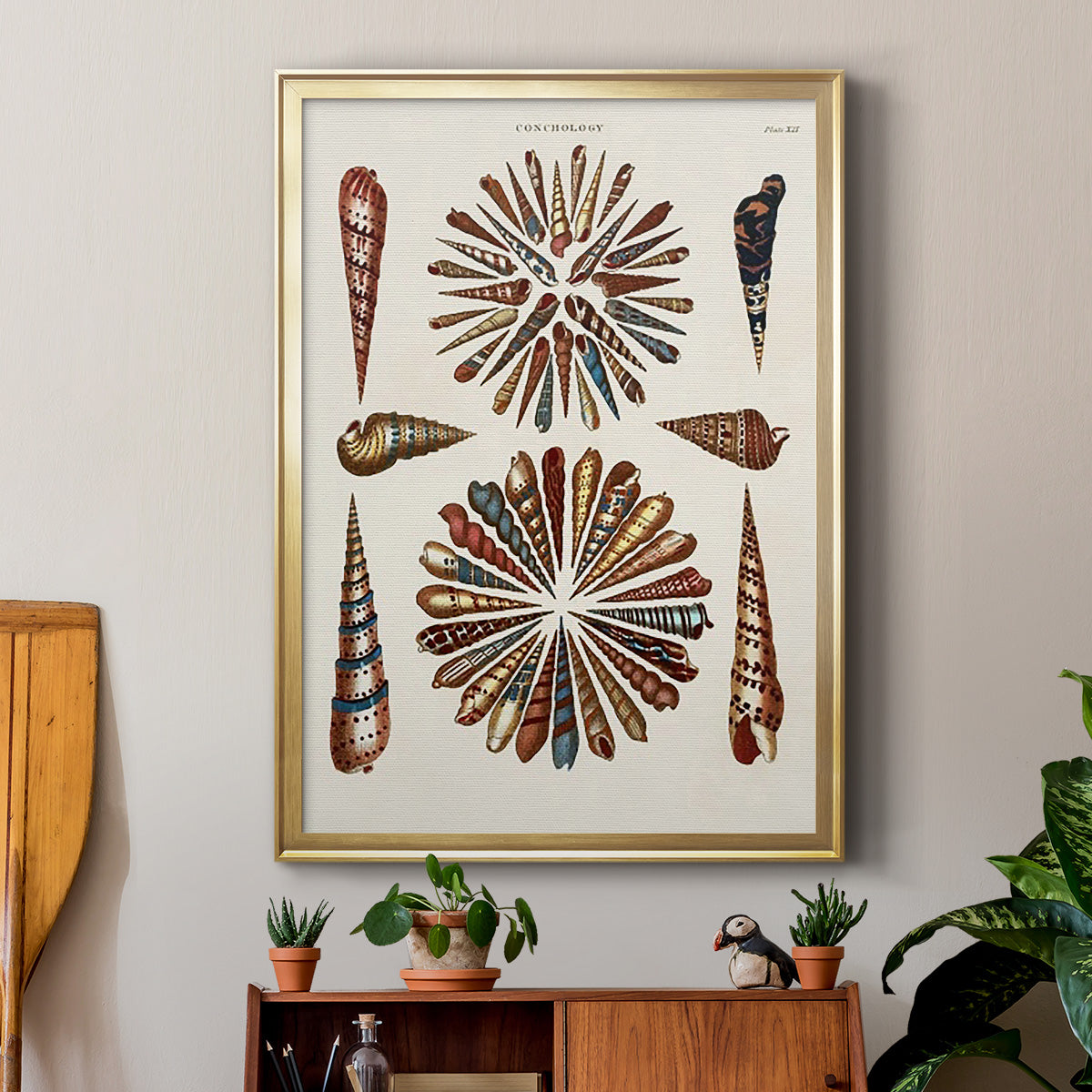 Spiral Shell Formation III - Modern Framed Canvas Print