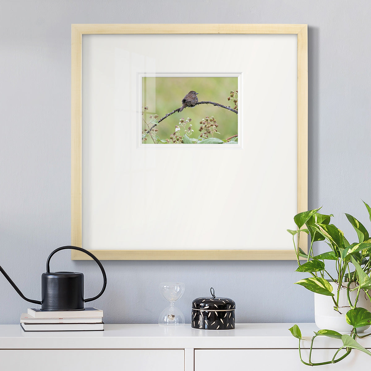 Resting Sparrow Premium Framed Print Double Matboard