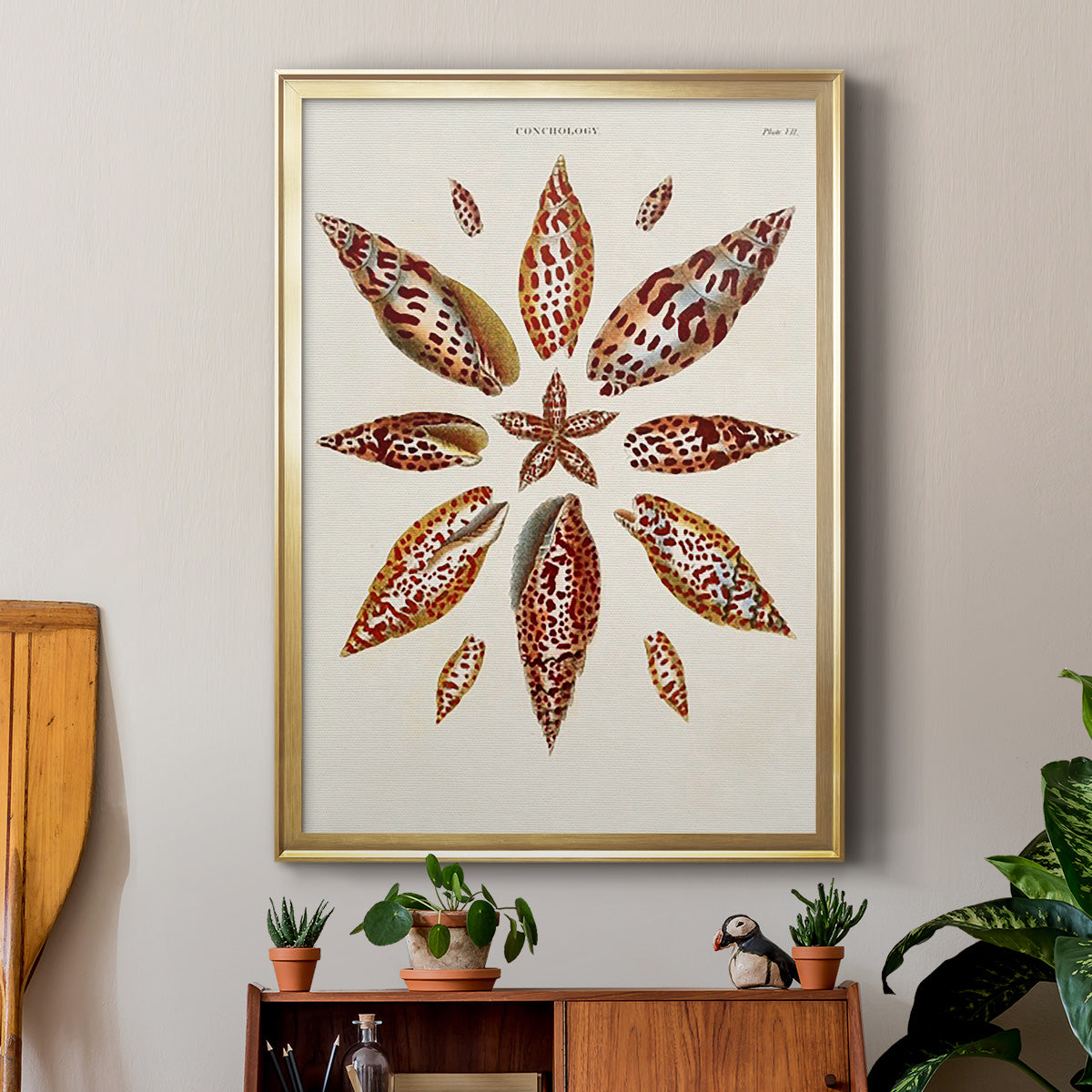 Spiral Shell Formation I - Modern Framed Canvas Print
