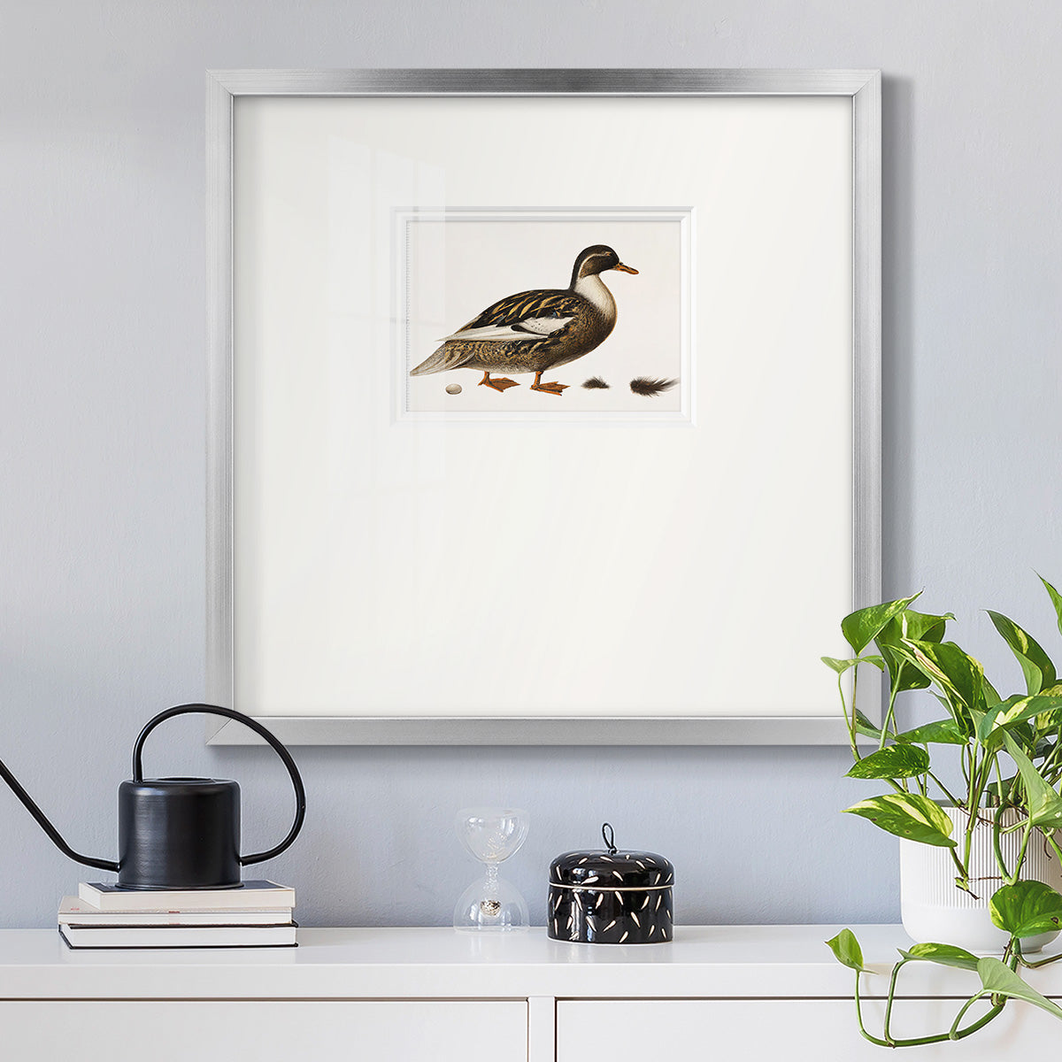 Golden Mallard Premium Framed Print Double Matboard