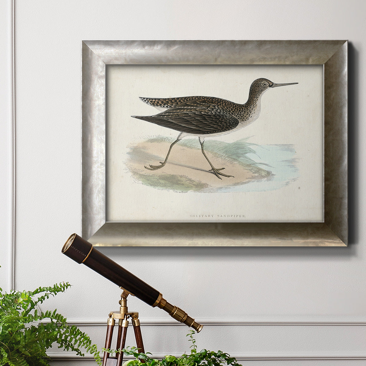 Morris Sandpipers VII Premium Framed Canvas- Ready to Hang