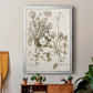 Sepia Botanical Journal IX - Modern Framed Canvas Print
