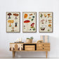 Mushroom Species VI - Framed Premium Gallery Wrapped Canvas L Frame 3 Piece Set - Ready to Hang