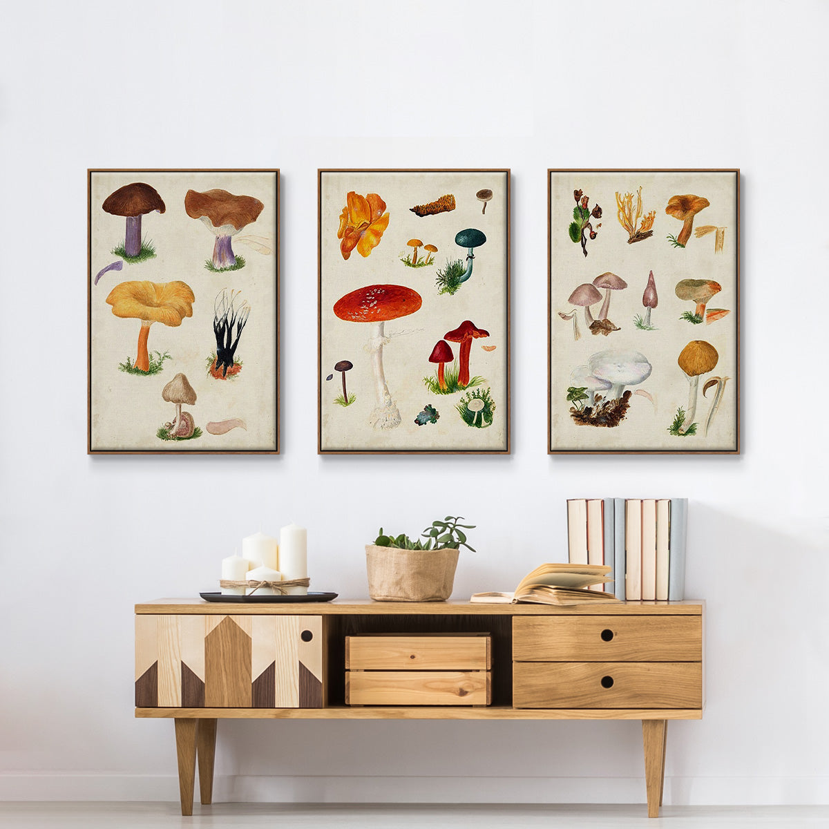 Mushroom Species VI - Framed Premium Gallery Wrapped Canvas L Frame 3 Piece Set - Ready to Hang