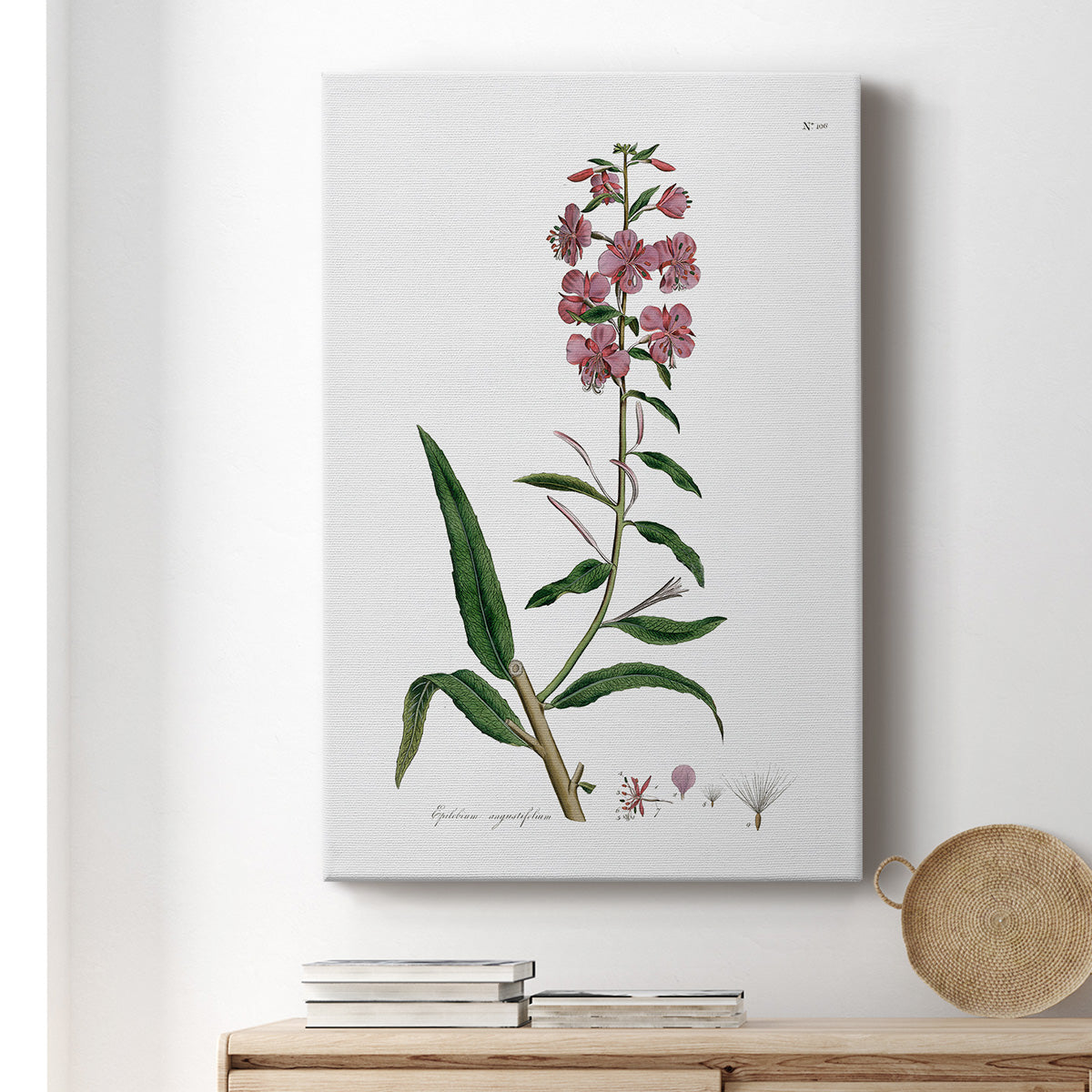 Rose Botanical I - Canvas Art Print