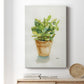 Succulent I - Canvas Art Print