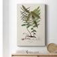 Botanical Society Ferns VI - Canvas Art Print