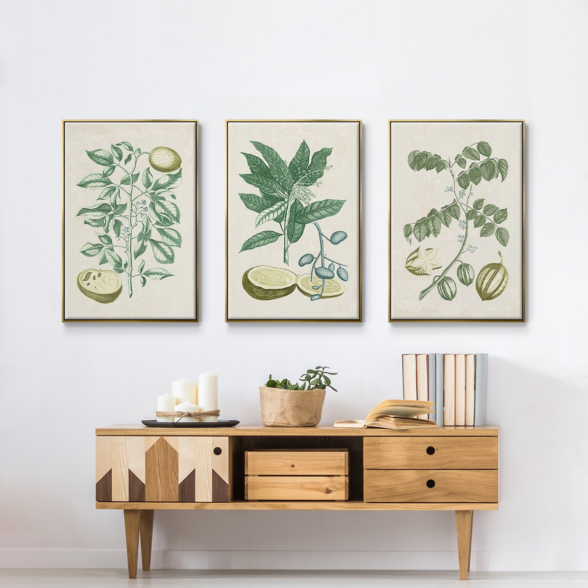 Buchoz Tropicals II - Floater Framed Canvas Set