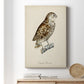 French Owls I Premium Gallery Wrapped Canvas - Ready to Hang