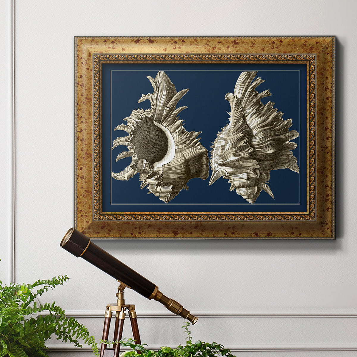 Conch Shells on Navy II Premium Framed Canvas- Ready to Hang