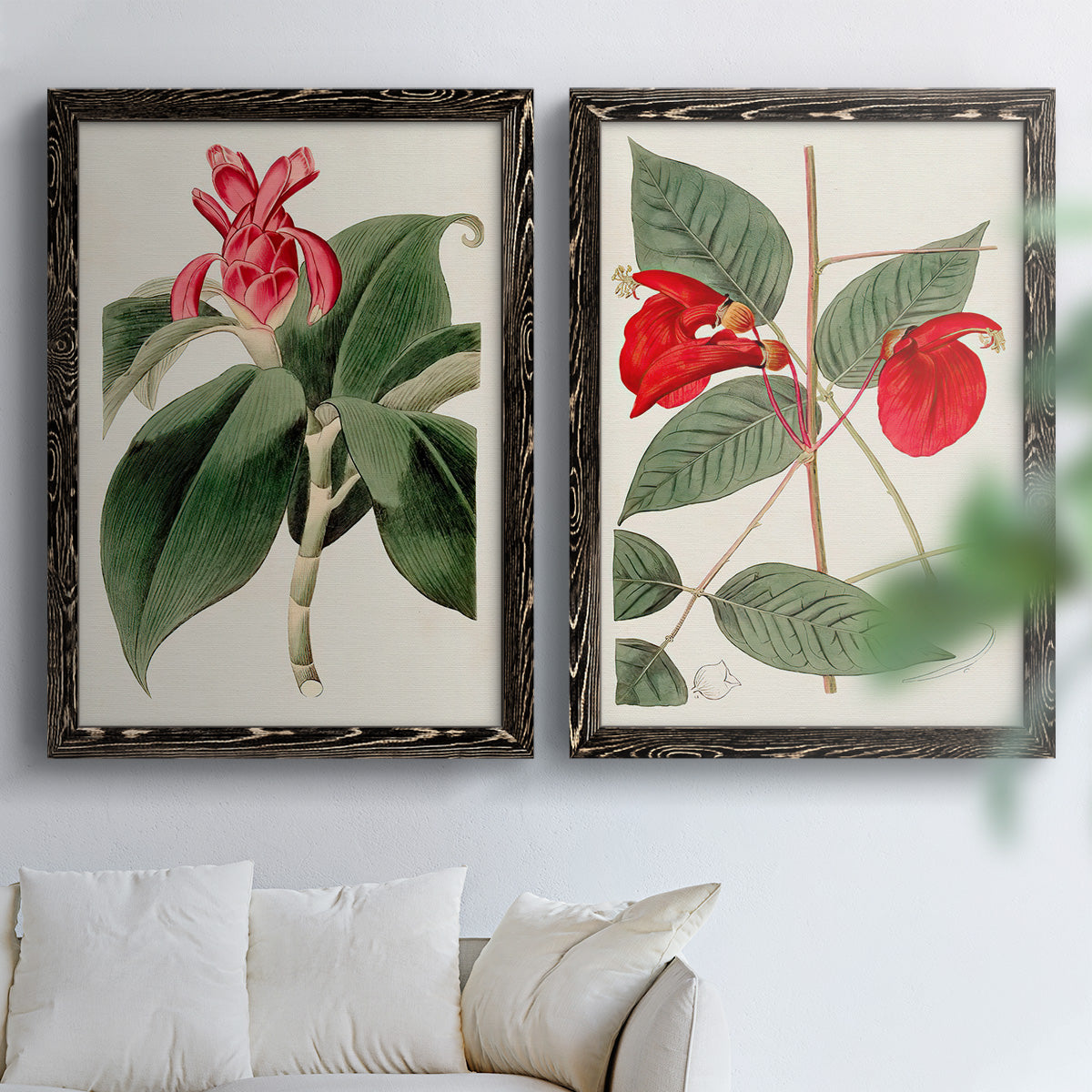 Flora of the Tropics I - Premium Framed Canvas 2 Piece Set - Ready to Hang