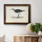 Morris Sandpipers VI Premium Framed Canvas- Ready to Hang