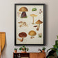 Mushroom Species II - Modern Framed Canvas Print