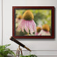 Echinacea Study II Premium Framed Canvas- Ready to Hang