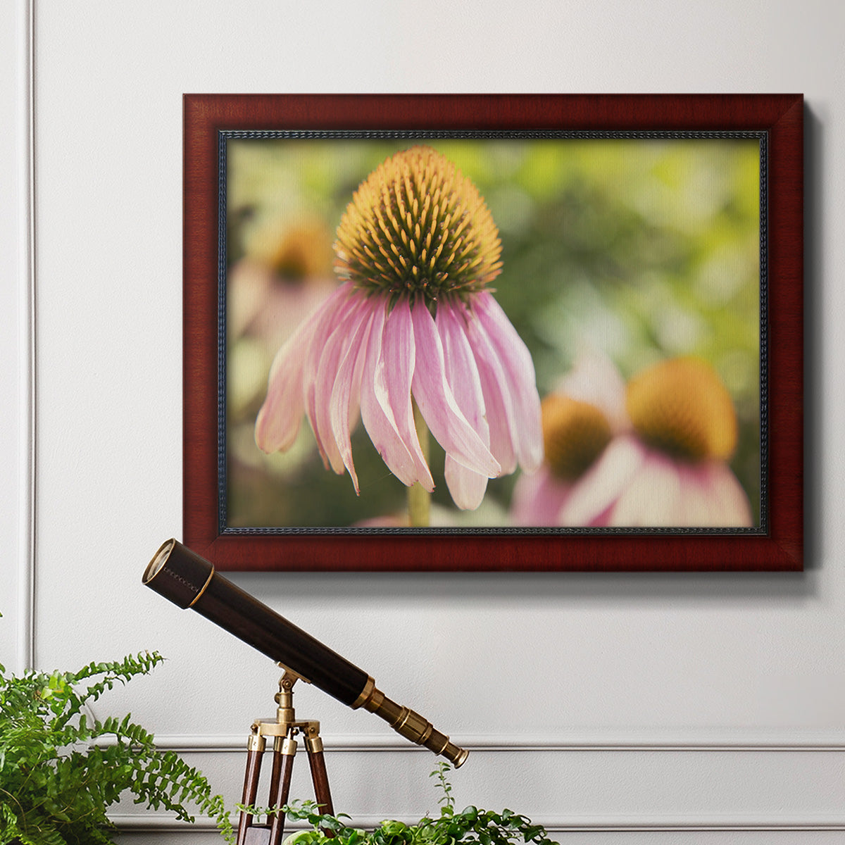 Echinacea Study II Premium Framed Canvas- Ready to Hang