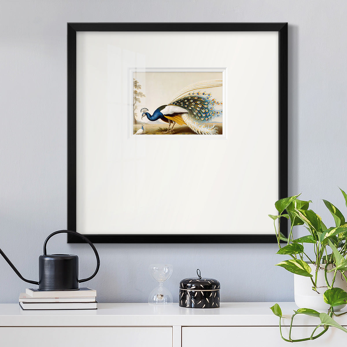 Golden Peacock Premium Framed Print Double Matboard