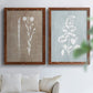 Botany Beauty III - Premium Framed Canvas 2 Piece Set - Ready to Hang