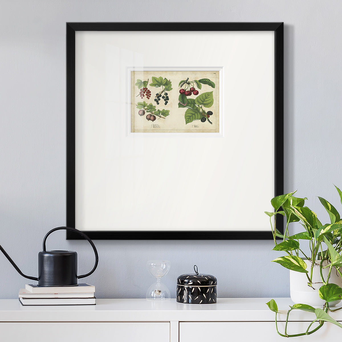 Kitchen Fruits III Premium Framed Print Double Matboard