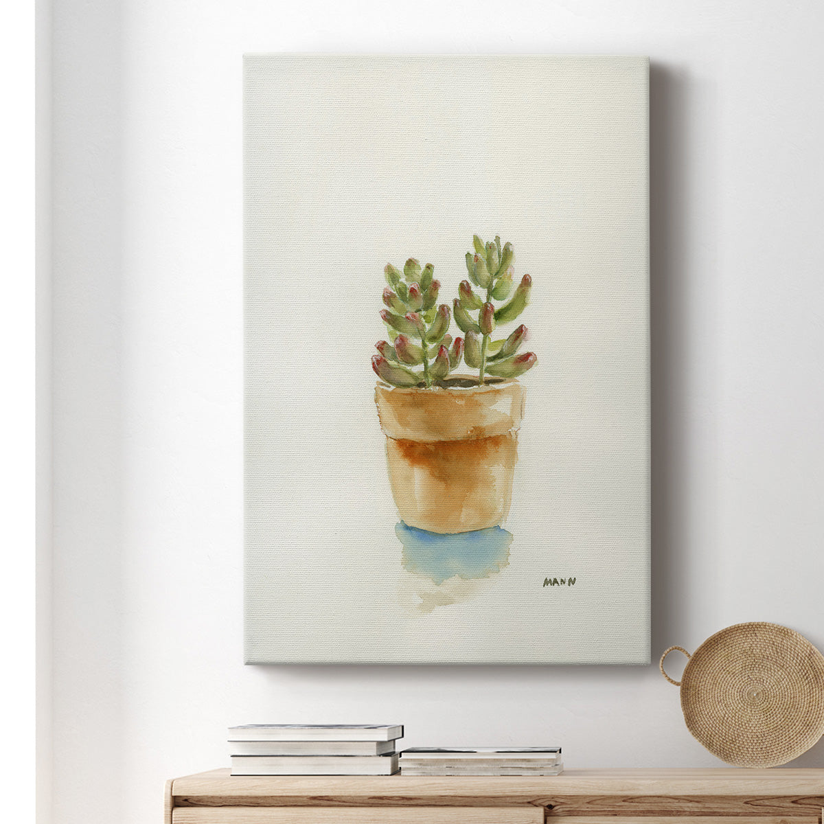 Succulent III - Canvas Art Print