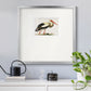 Odd Crane Premium Framed Print Double Matboard