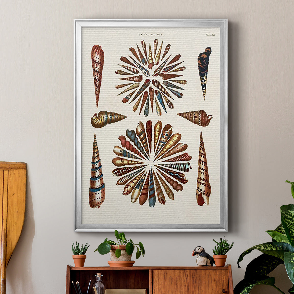 Spiral Shell Formation III - Modern Framed Canvas Print