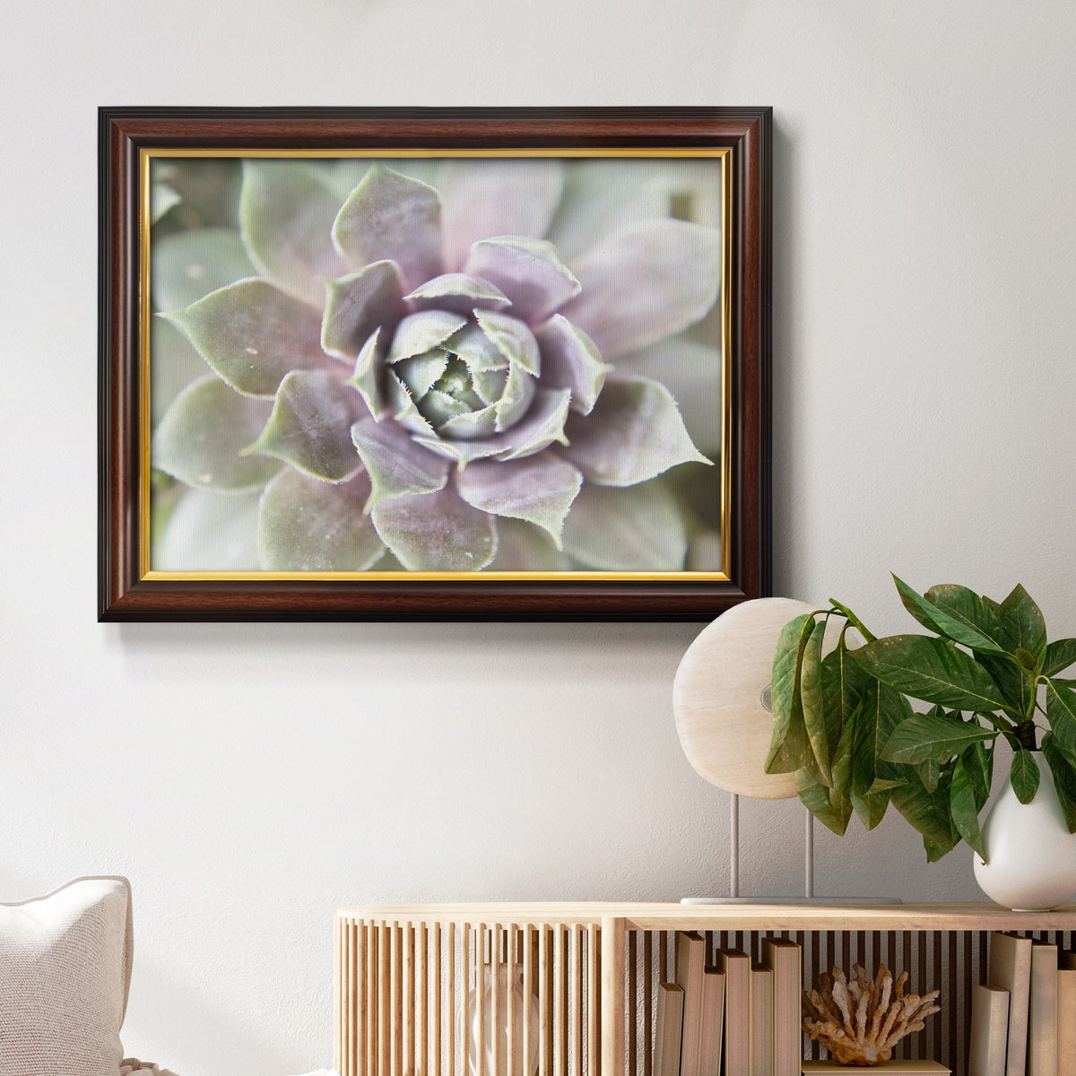 Succulent Glow II - Ornate Framed Canvas Print