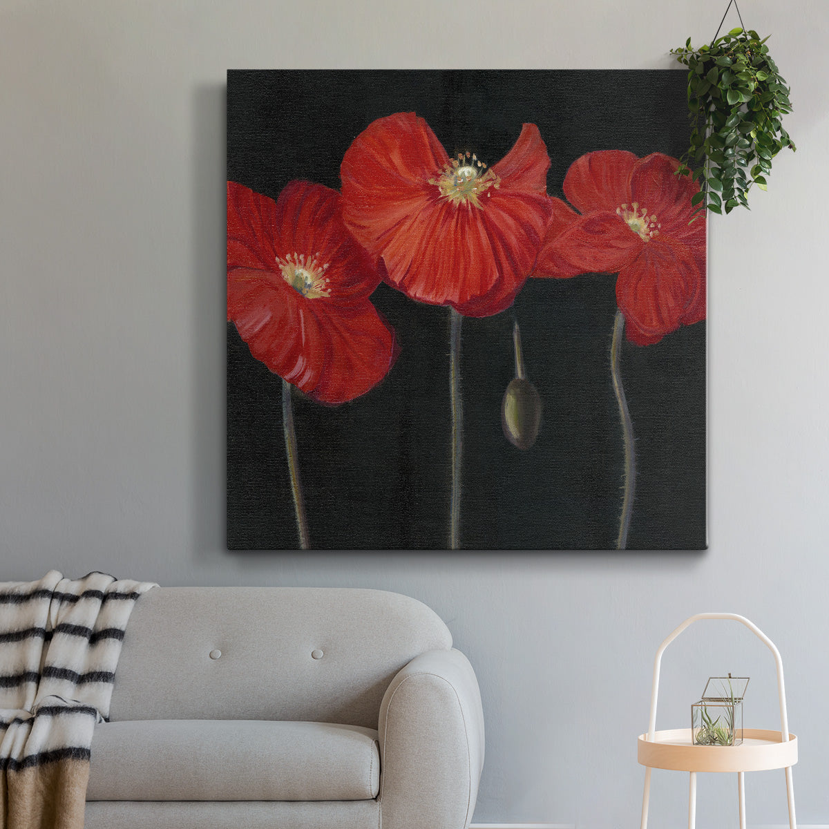 Poppy Trio I - Canvas Art Print