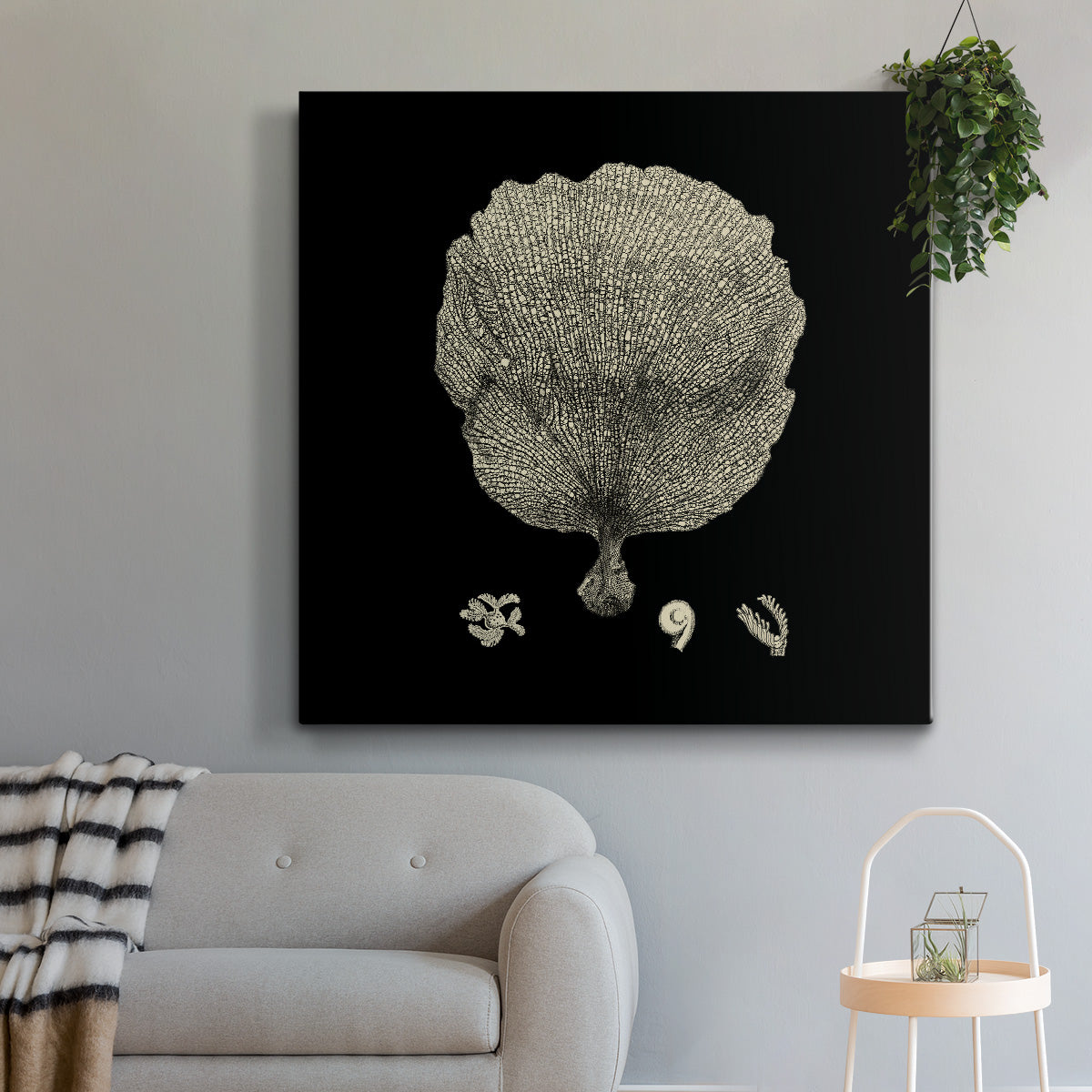 Black and Tan Coral II - Canvas Art Print
