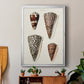 Cone Shell Collection I - Modern Framed Canvas Print
