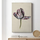 Antique Tulip Study II Premium Gallery Wrapped Canvas - Ready to Hang