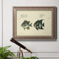 Bloch Antique Fish II Premium Framed Canvas- Ready to Hang