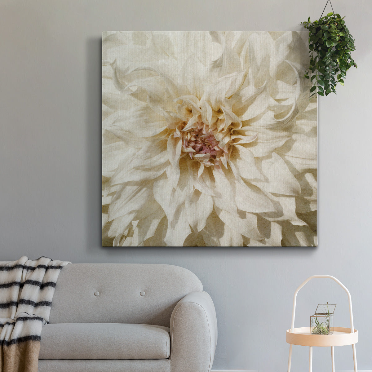 Wall Flower VIII-Premium Gallery Wrapped Canvas - Ready to Hang