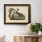 Audubons Reddish Egret Premium Framed Canvas- Ready to Hang