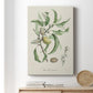 Antique Almond Botanical IV Premium Gallery Wrapped Canvas - Ready to Hang