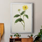 Flowers of the Seasons X - Modern Framed Canvas Print