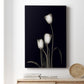 Tulip Pose III - Canvas Art Print