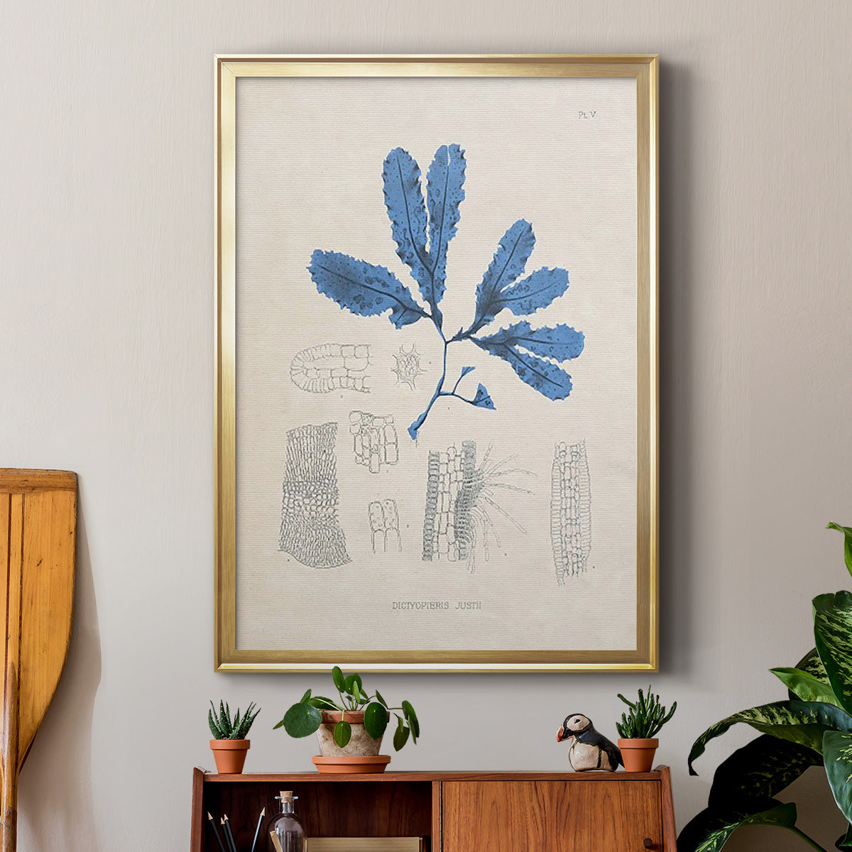 Blue Marine Algae VII - Modern Framed Canvas Print