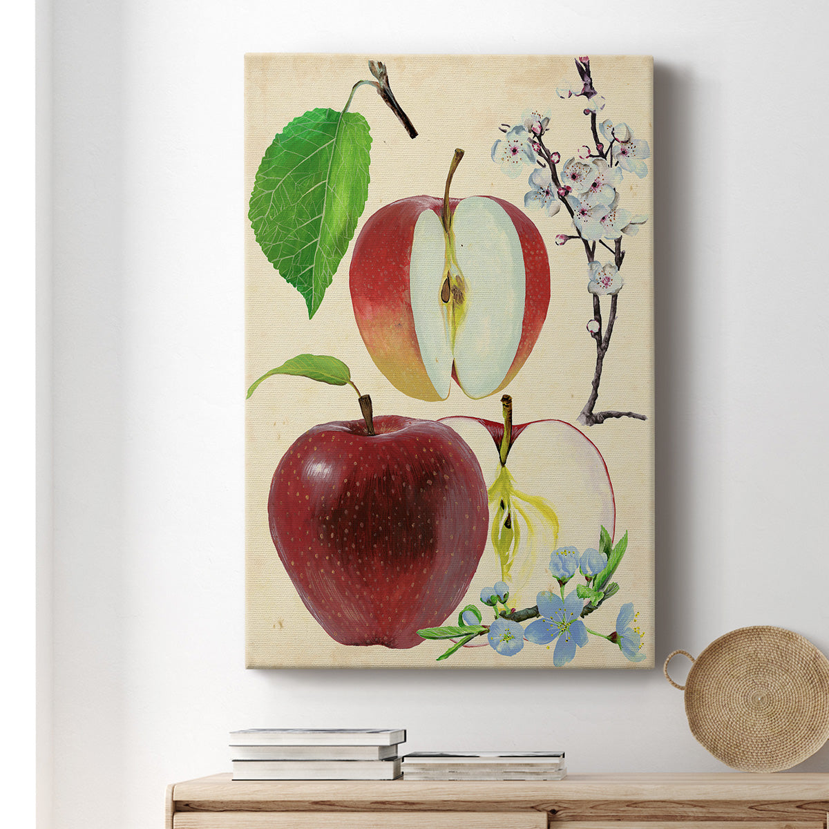 Apple & Blossom Study II Premium Gallery Wrapped Canvas - Ready to Hang