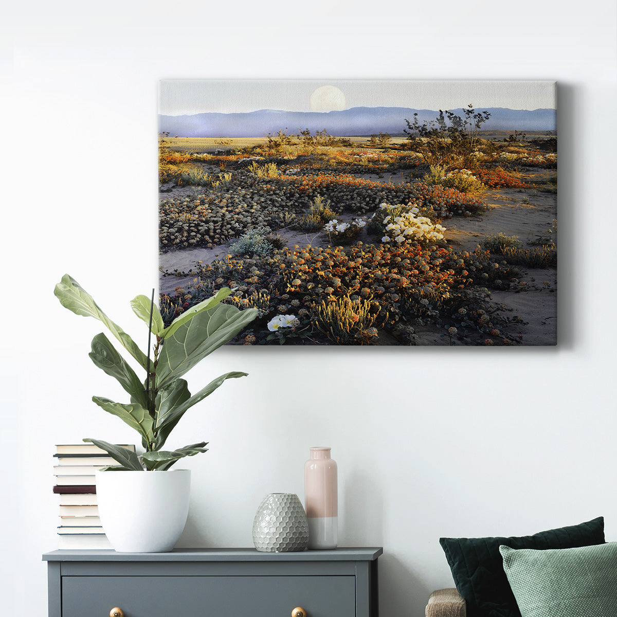 Anza Borrego Desert Premium Gallery Wrapped Canvas - Ready to Hang