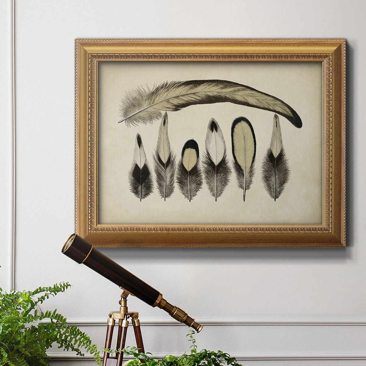 Vintage Feathers VII Premium Framed Canvas- Ready to Hang