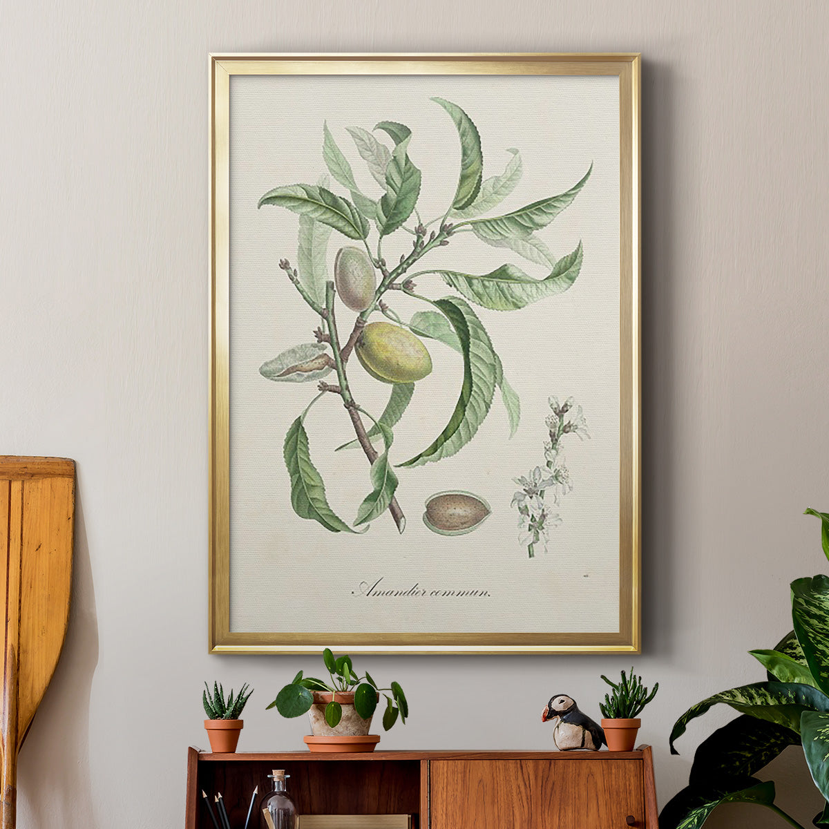 Antique Almond Botanical IV - Modern Framed Canvas Print