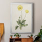 Flowers of the Seasons XII - Modern Framed Canvas Print