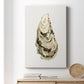 Neutral Oyster Study III  Premium Gallery Wrapped Canvas - Ready to Hang