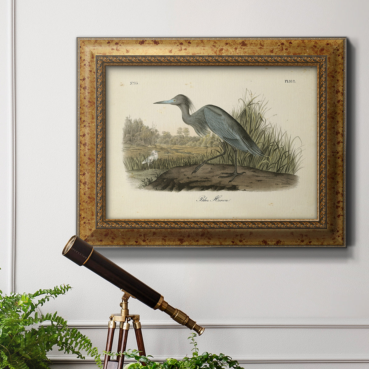 Audubons Blue Heron Premium Framed Canvas- Ready to Hang