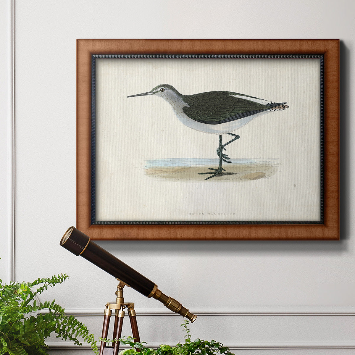 Morris Sandpipers VI Premium Framed Canvas- Ready to Hang