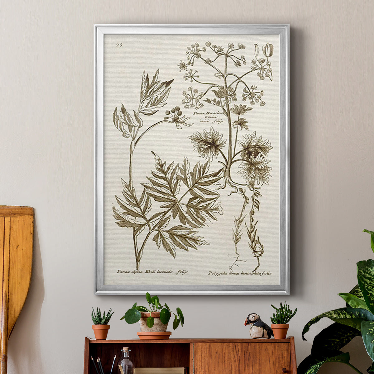 Sepia Botanical Journal III - Modern Framed Canvas Print