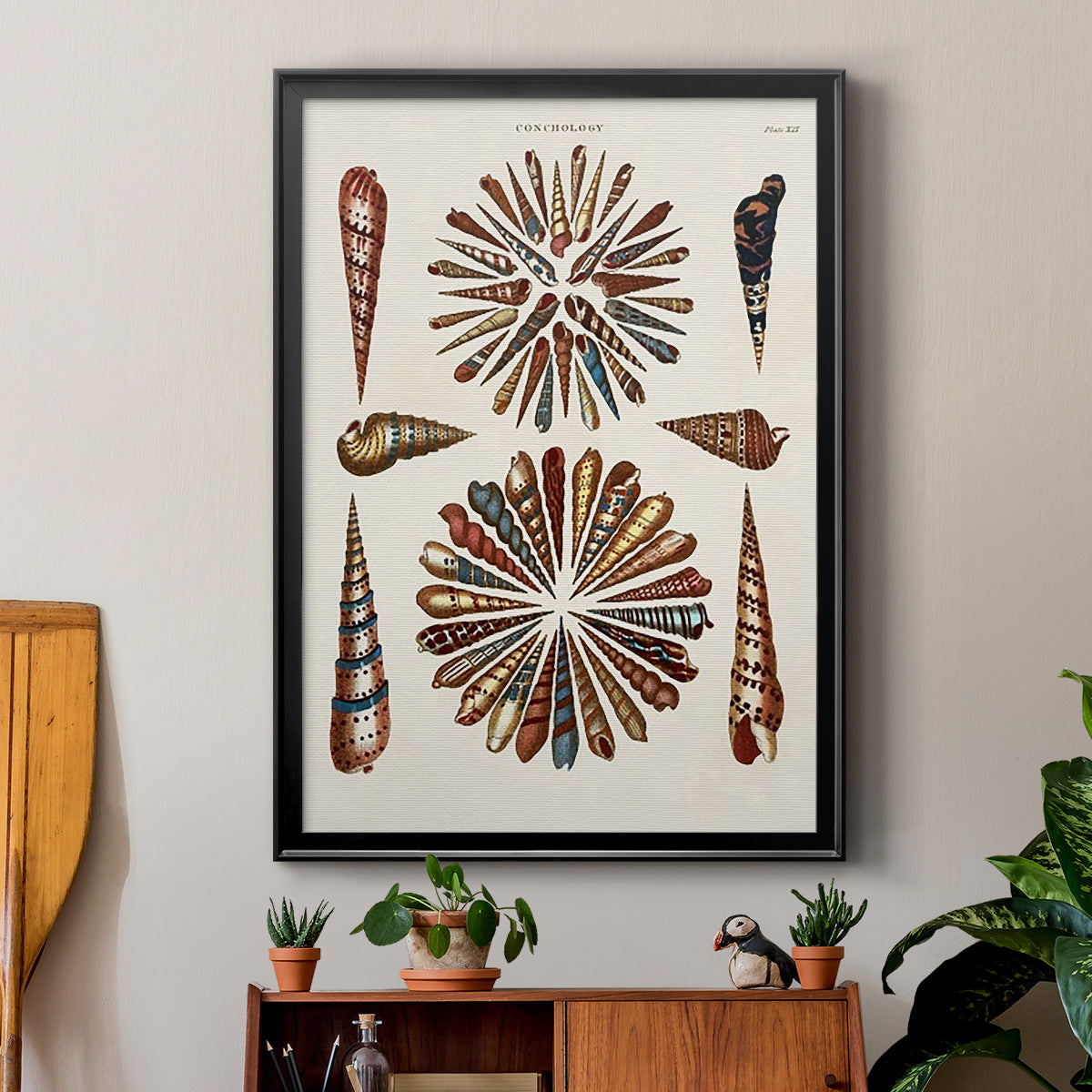 Spiral Shell Formation III - Modern Framed Canvas Print