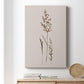 Delicate Stems II - Canvas Art Print